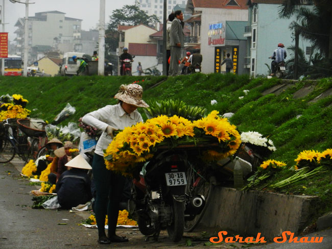 Loading sunflowers on the back of a motorcycle at the Hanoi Flower Market, Vietnam