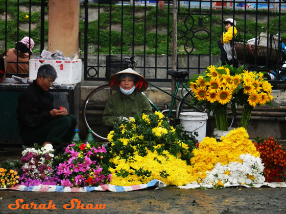 Vendor at the Hanoi Flower Market, Vietnam