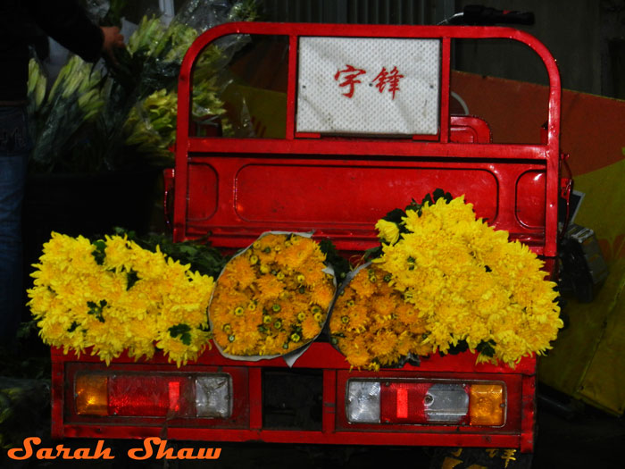 Mums for sale at the Hanoi Flower Market, Vietnam