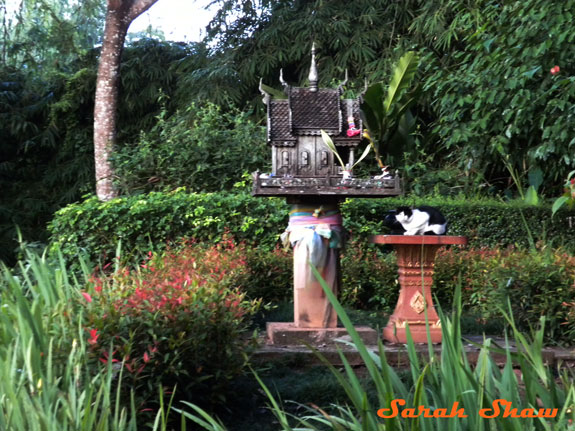 A cat visits a Spirit House in a garden of the Anantara Golden Triangle, Thailand