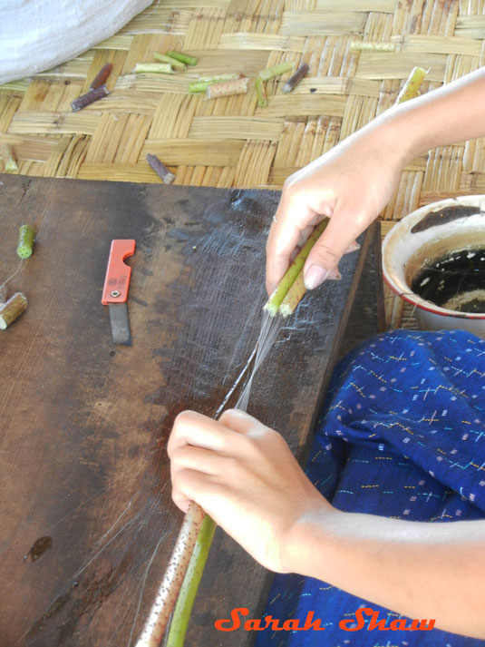 Lotus stems are cut and pulled into threads in Myanmar