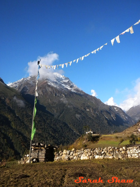 Prayer flags in Laya