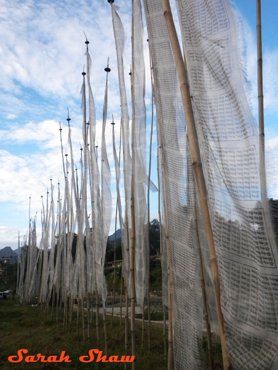 white tibetan prayer flags