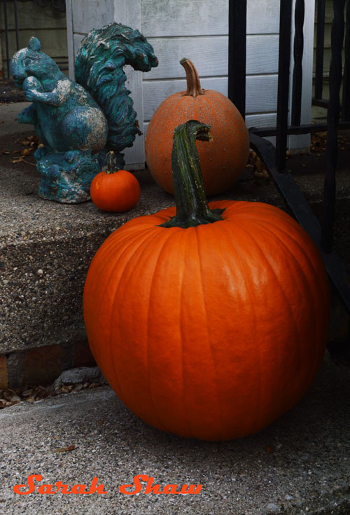 Apollo Pumpkin for carving