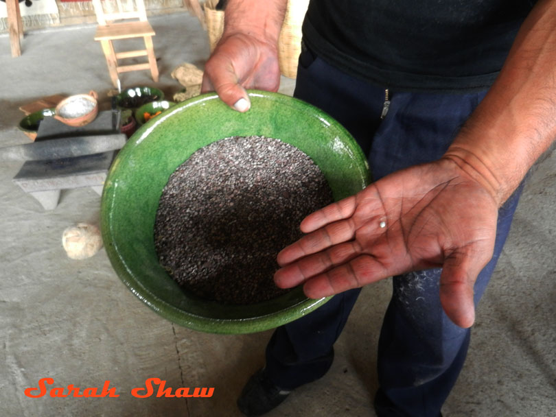 Dried cochineal