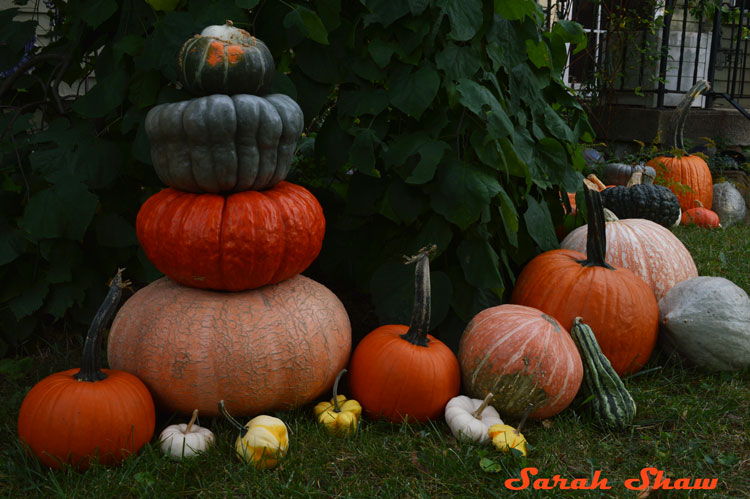 Heirloom pumpkin tower for Halloween Decorations