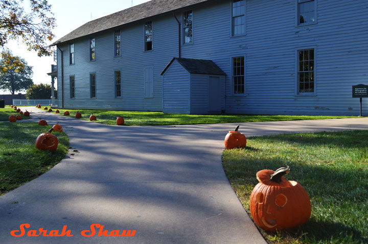 Pumpkins line a walk