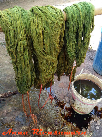 Mango bark dyed organic yarn