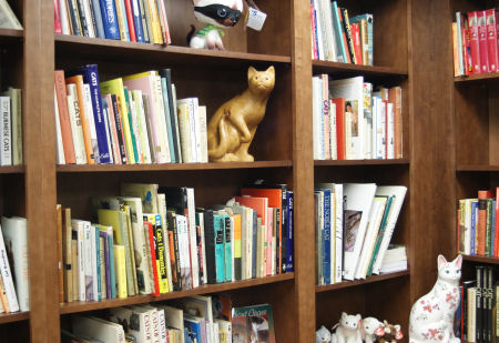 Feline Historical Museum Library