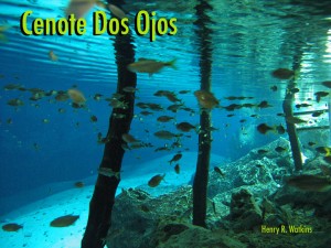 11peces-cenoteros