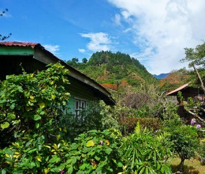 Boquette Panama