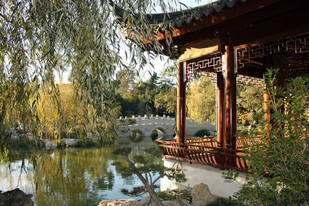 Chinese Garden Lake