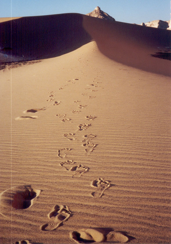 Footprints in Sand