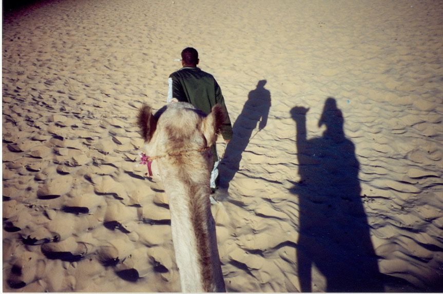 Camel and Follower