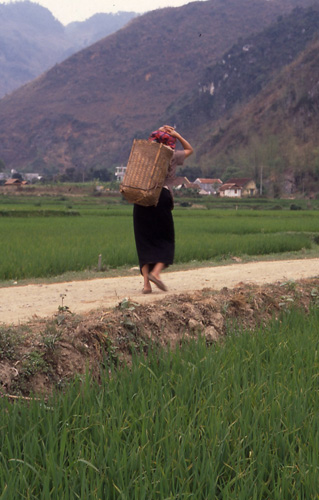 Mai Chau - Woman with Basket