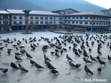 Druk Hotel in Thimphu