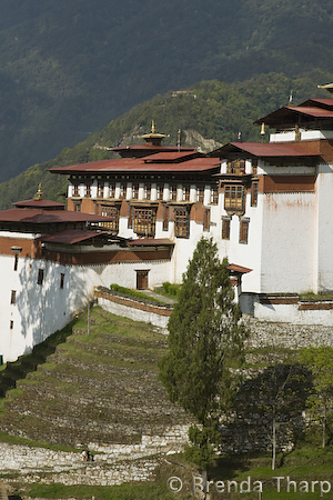 Bhutan Dzong