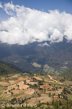 Bhutan Himalayas