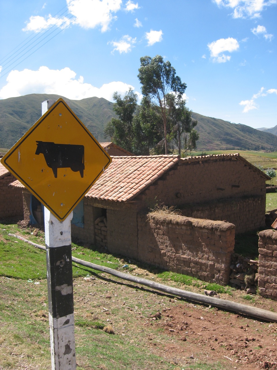 CattleÂ Crossing