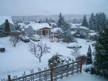 SnowyÂ View