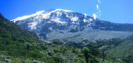 Kilimanjaro