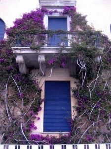 buildingcinque-terre