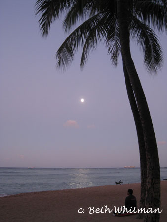 Palm Tree in Honolulu