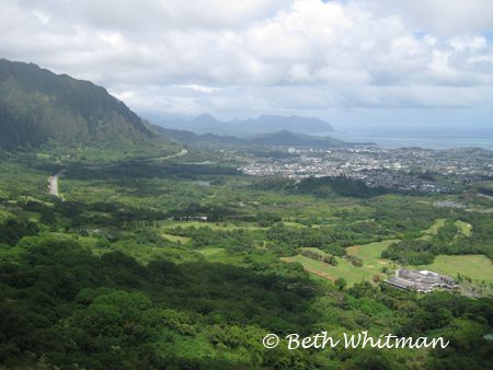 Oahu Pali View