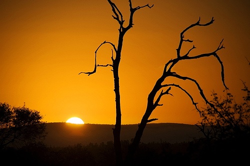 african sunrise