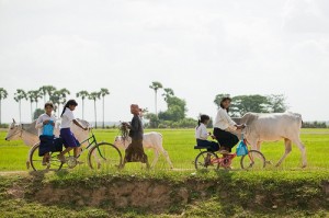 bicycles in countryside