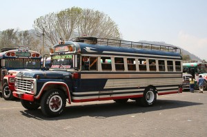 bluebird bus