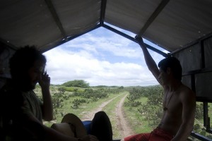 view from back of truck