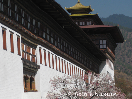 Thimphu Dzong