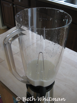 FS: GSI hand crank blender