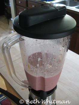 GSI Vortex Blender