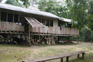 Jungle Hut