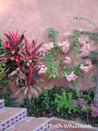 Flowers at Casa in Bucerias