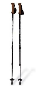 Mountainsmith Hiking Poles