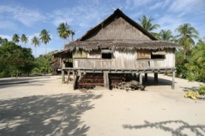 Traditional House in Sepik region Papua New Guinea