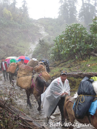 Eastern Bhutan trek with horses to Merak & Sakten