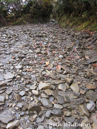 Eastern Bhutan trek path Merak & Sakten