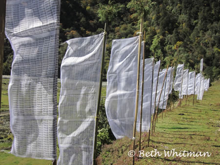 Eastern Bhutan prayer flags in Sakten