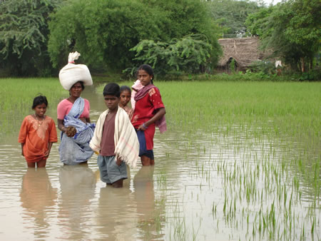 Flooded Field in Karunganni