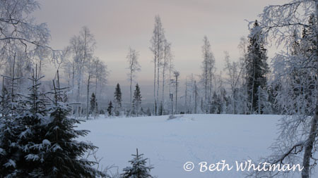 Hamar, Norway Snow