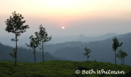 Sunset in Munnar, India