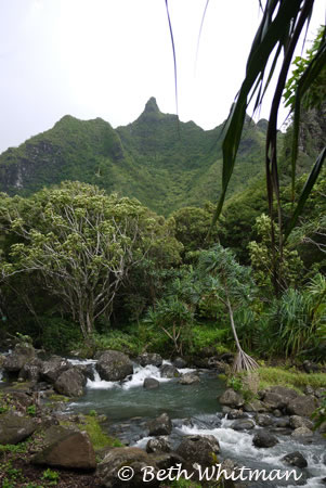 Limahuli Gardens Kauai