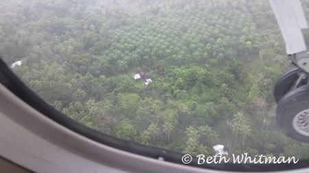 Papua New Guinea Jungle