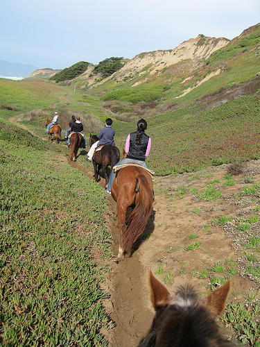 horse trail