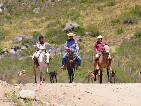 Gauchos