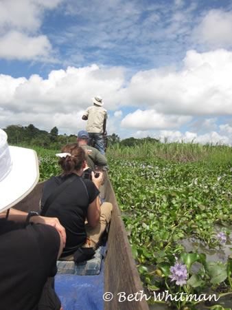 Sepik River Boat ride